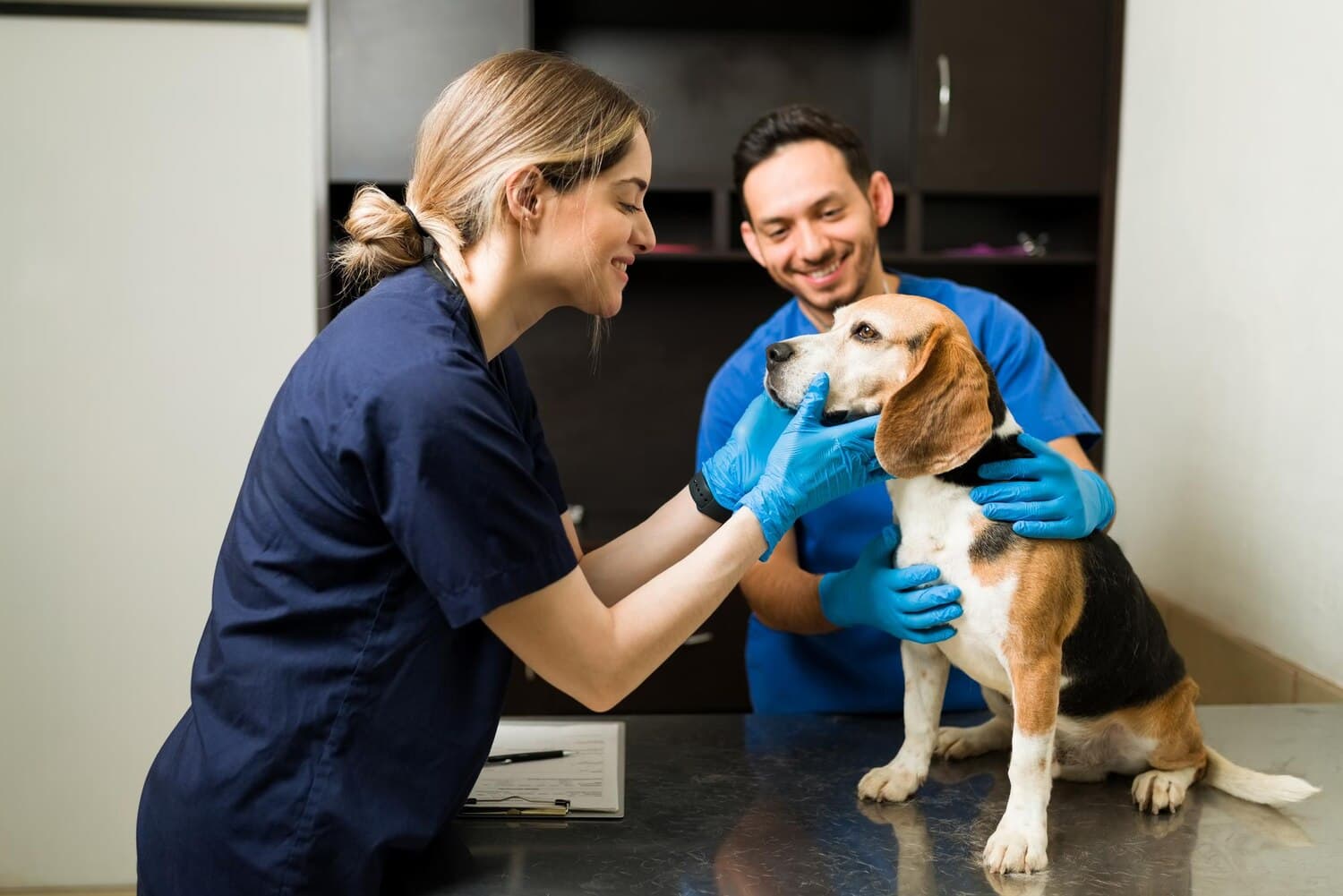 The End of Pet Regulatory Fragmentation: Navigating the EU’s Unified Traceability and Breeding Mandates