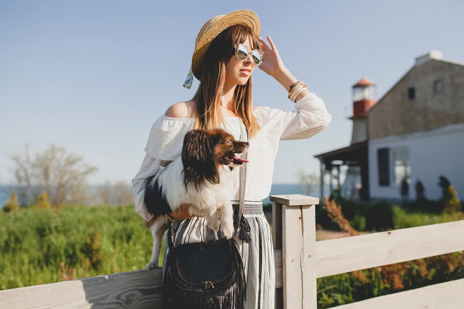 Moving to the UK with Pets: A 2025 Guide to DEFRA Rules